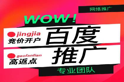 行业领先企业的SEM代运营成功之路